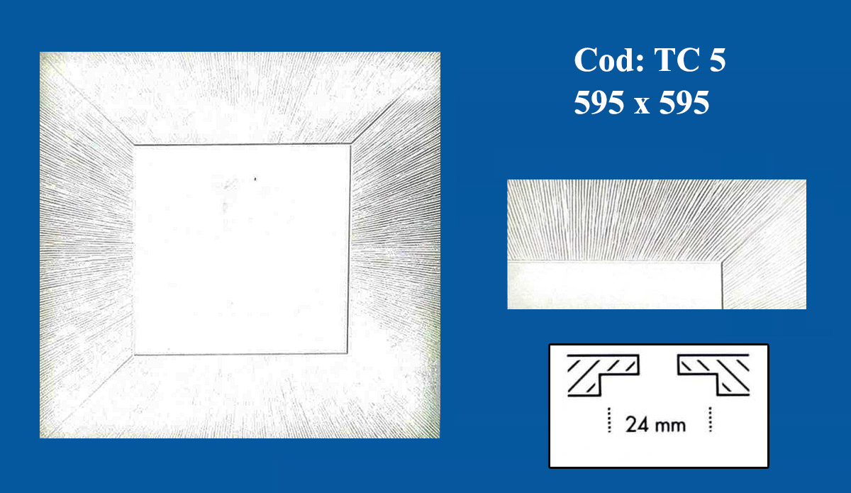 Tavane Casetate din Ipsos TAV  5