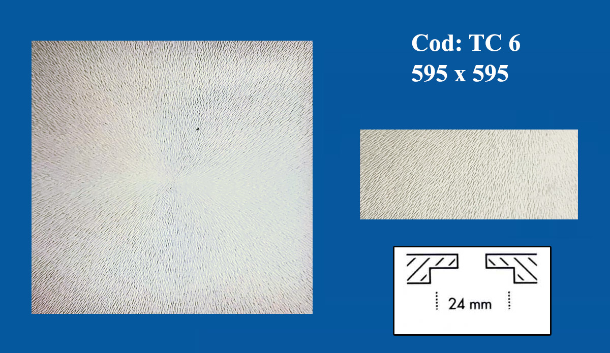 Tavane Casetate din Ipsos TAV  6